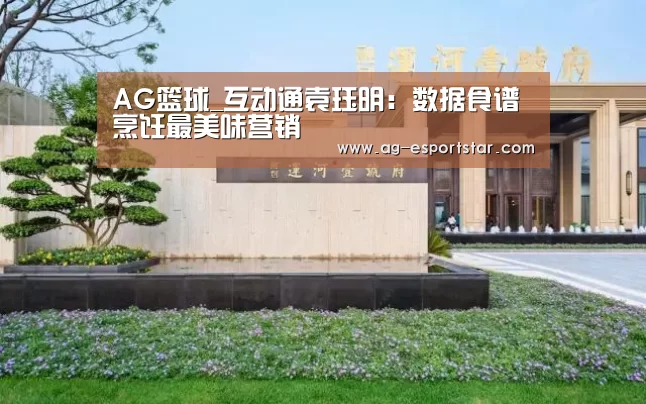AG篮球_互动通袁珏明:数据食谱烹饪最美味营销(图1) AG篮球