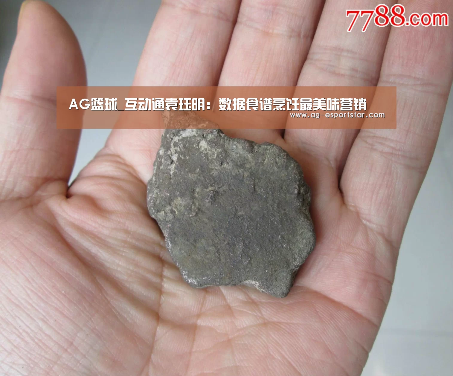 AG篮球_互动通袁珏明:数据食谱烹饪最美味营销(图3) AG体育