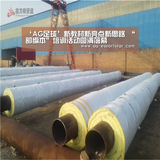 ‘AG足球’新教材新亮点新思路 “部编本”培训活动圆满落幕(图2) AG篮球