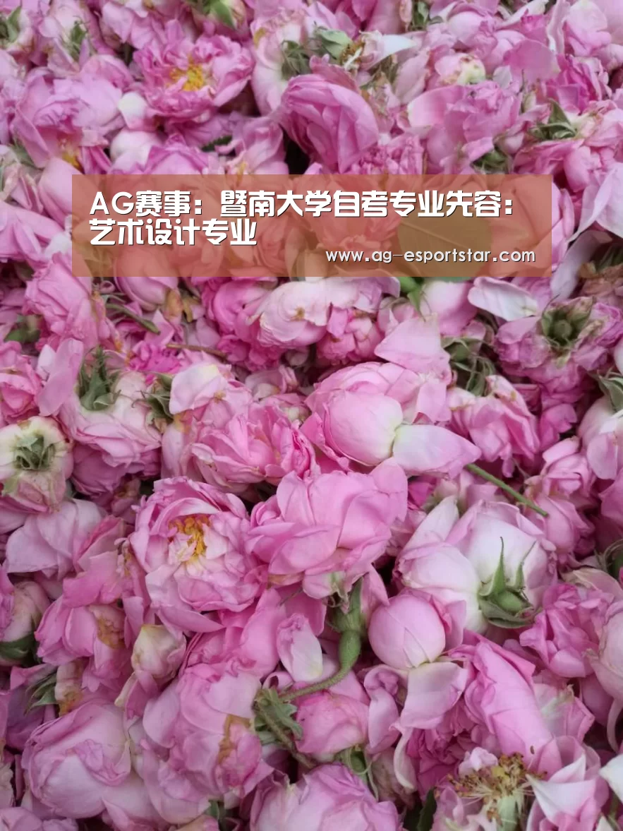 AG体育