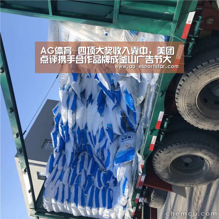 AG体育-四项大奖收入囊中,美团点评携手合作品牌成釜山广告节大赢家(图1) AG体育