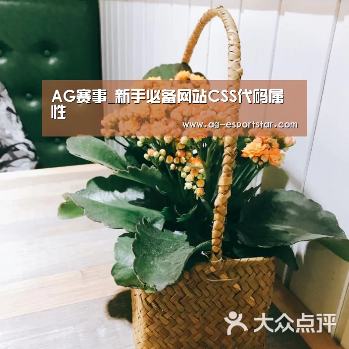 AG赛事_新手必备网站CSS代码属性(图4) AG足球